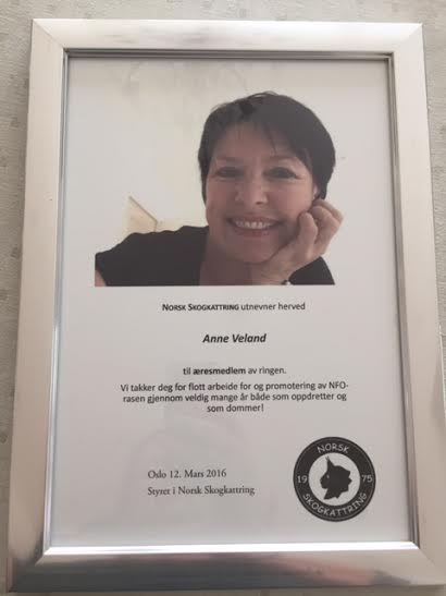 anne-v