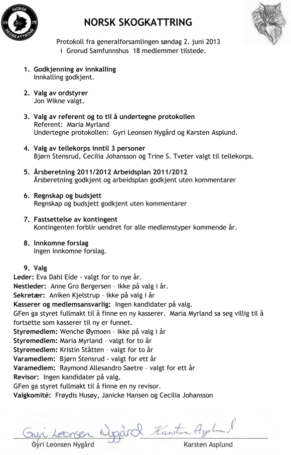 Referat GF 2013