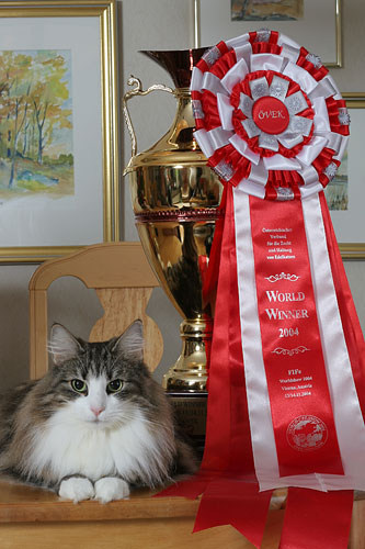 06sm050529_skogkattmster2005