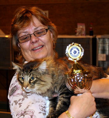 06smToffeste hannkatt