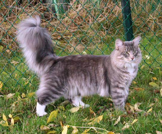heike1ar
