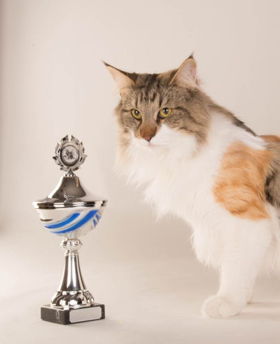 Olivia Skogens prinsesse
