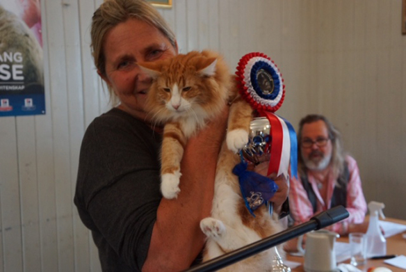 S Just Catbap's Esther - Skogkattmester