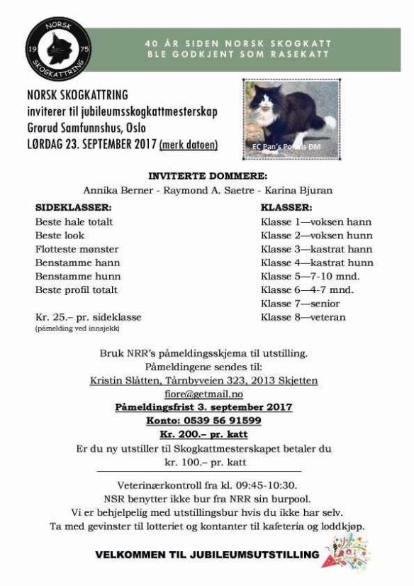 skogkattmesterskap