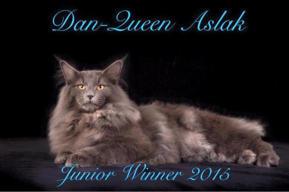 Dan-Queen Aslak JW